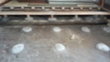 3baf3a85.jpg