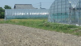 474dea6e.jpg