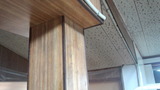 50684885.jpg