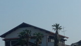 586c2797.jpg