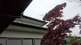 663804f7.jpg