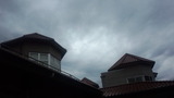 69618b0a.jpg