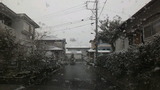 6a846567.jpg