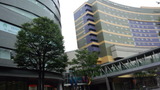 703eb53b.jpg