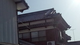 7046cd15.jpg