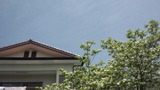736263f4.jpg