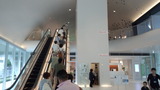 785ddc06.jpg