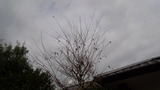 181209_111644