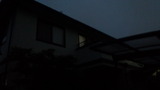 7c9b9ec2.jpg