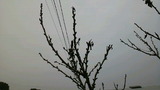 87098b2d.jpg