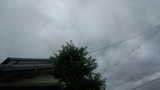 90052d28.jpg