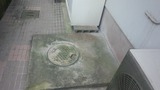 9051ccb6.jpg