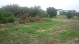 919f5543.jpg