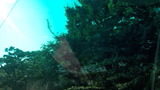 928cf608.jpg