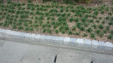 96212a6d.jpg