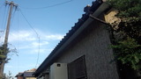 9719e857.jpg