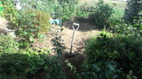 a2958d1b.jpg