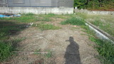 a33775e2.jpg