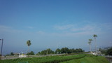 a6720502.jpg