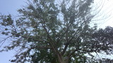 a7058b5c.jpg