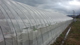 ab3219e8.jpg