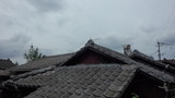 181011_121854