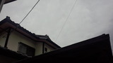 b84327f8.jpg