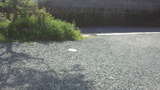 bb95427b.jpg