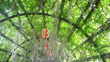 bc4afe83.jpg