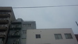 c01037a7.jpg