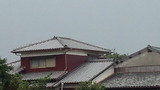 c0103b3b.jpg