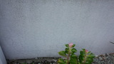 c91f1a04.jpg