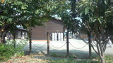 ca901354.jpg