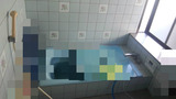 BlogPaint