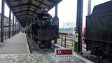 d114d667.jpg