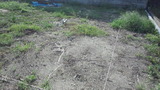 d301bc54.jpg