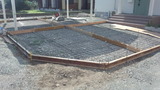 d729c205.jpg