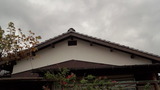 181212_101534