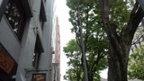 d9c85381.jpg