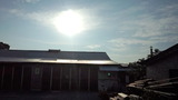 ee222549.jpg