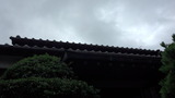 f0b9301f.jpg
