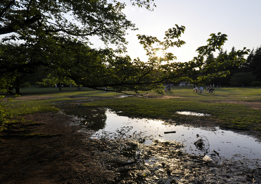 _DSC0055n