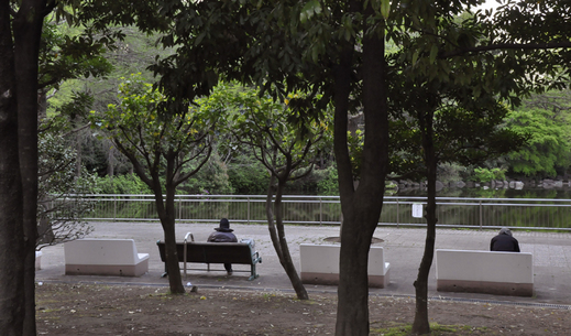 _DSC0081nn