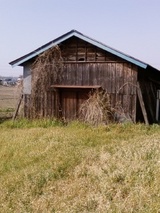 9f69c761.jpg