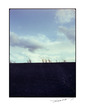 ebf6f929.jpg
