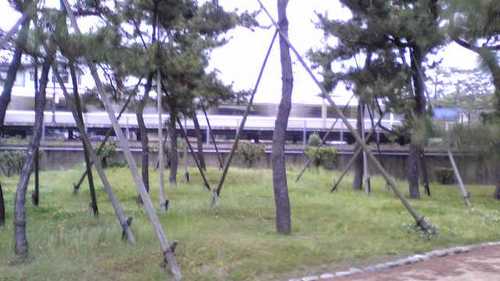 000d4022.jpg