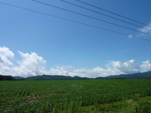 P1010062(1)