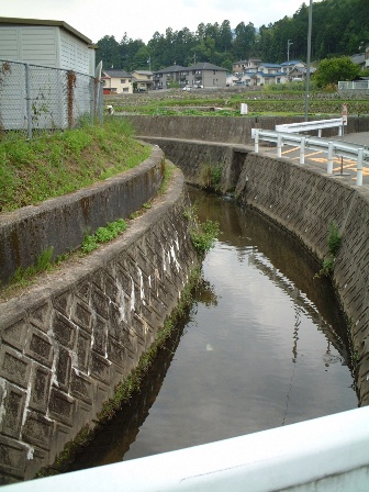2008_0604_133904