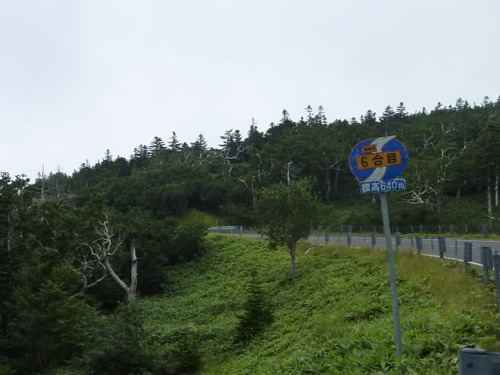 P1000918(1)