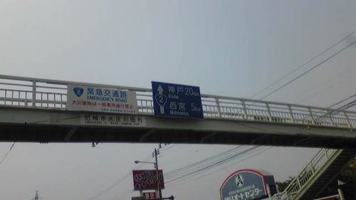 518d0ec9.jpg